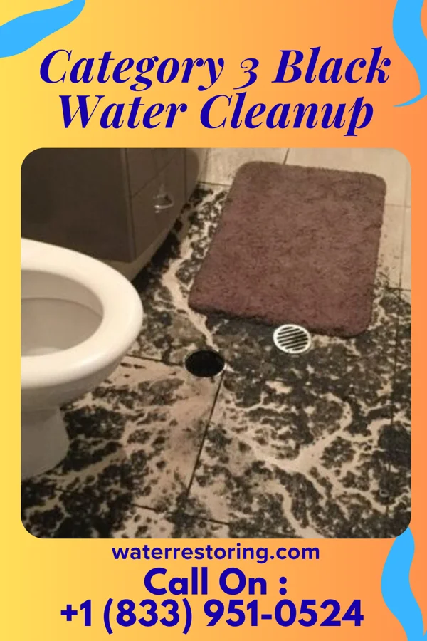Category 3 Black Water Cleanup in Lake Tomahawk, OH