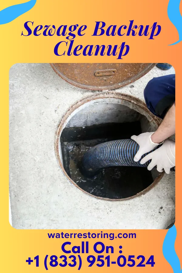 Sewage Backup Cleanup in Lake Tomahawk, OH