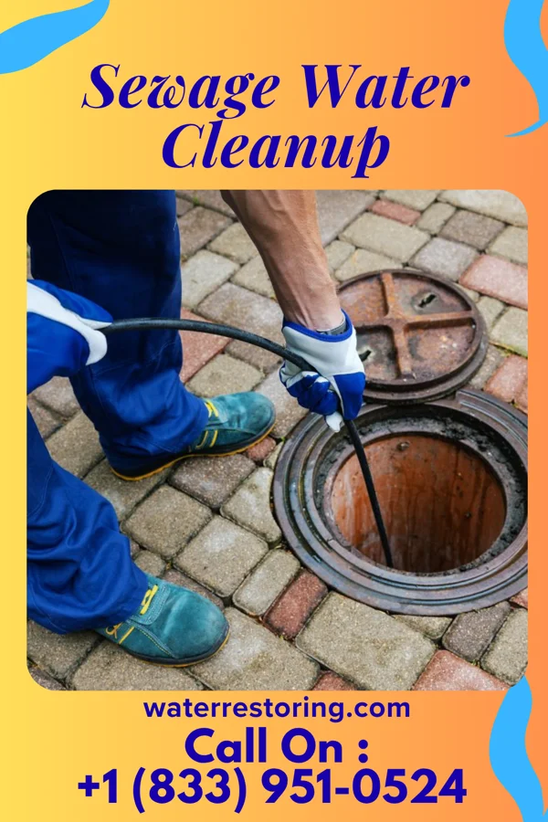Sewage Water Cleanup in Lake Tomahawk, OH